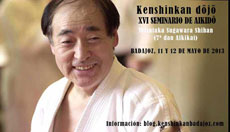 Seminario de Aikido Mayo 2013 con Sugawara Sensei