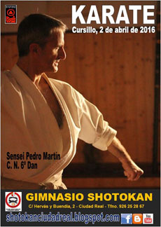 Curso Karate Ciudad Real