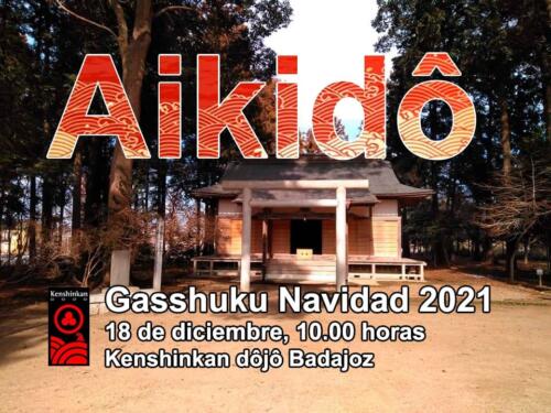 aikido-gasshuku-navidad-2021